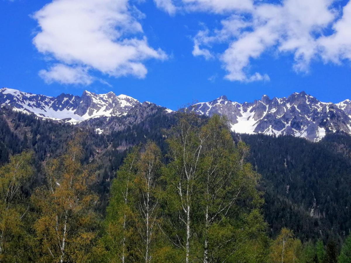 Le Chamoniard Volant Vandrerhjem Chamonix Eksteriør bilde